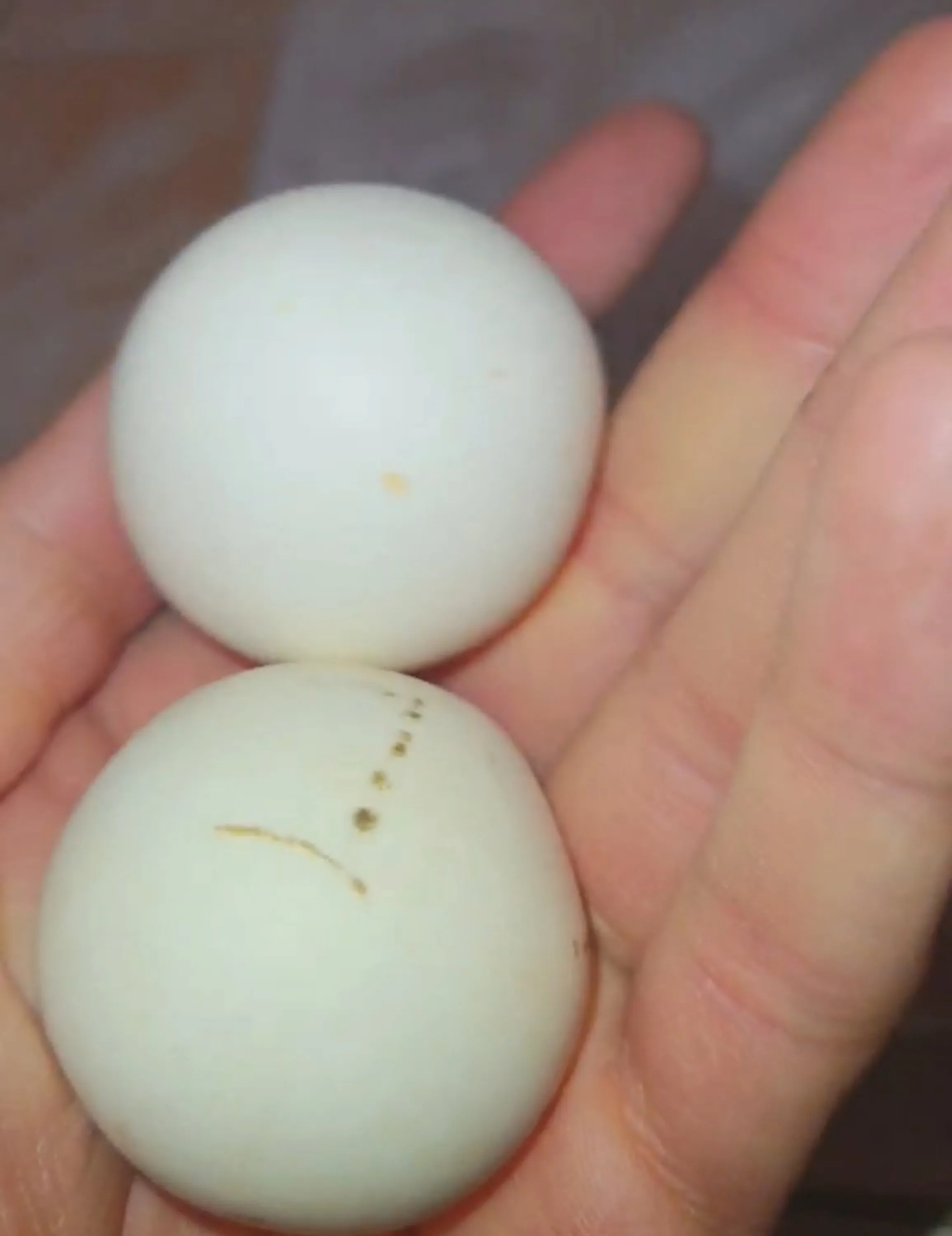 سنگ آسیاب اصل